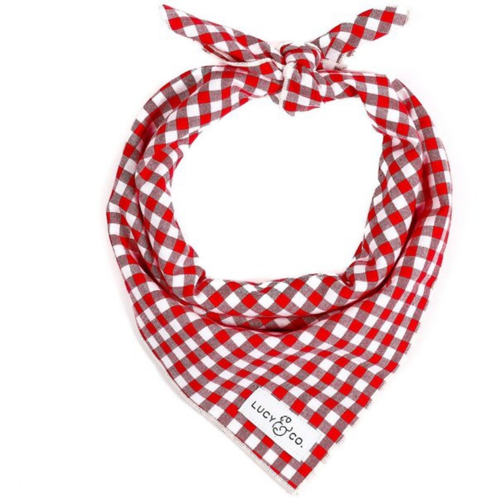 Lucy & Co 'The Kennedy' Doggie Bandana, Large